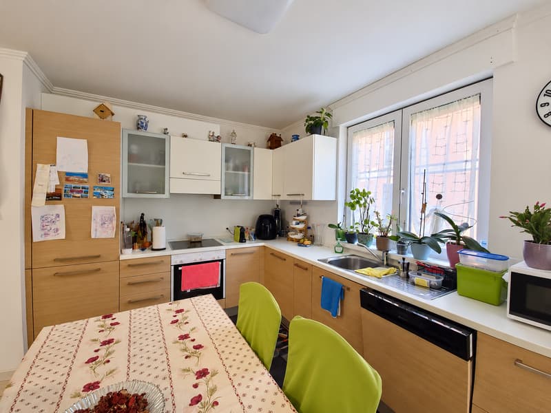 ACCOGLIENTE 4.5 LOCALI CON BALCONE E DOPPI SERVIZI A RIVERA (2)