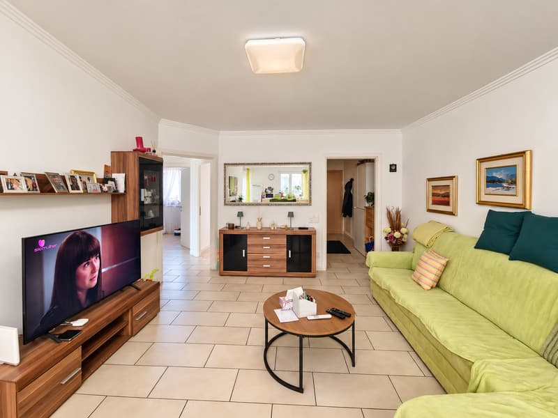 ACCOGLIENTE 4.5 LOCALI CON BALCONE E DOPPI SERVIZI A RIVERA (6)