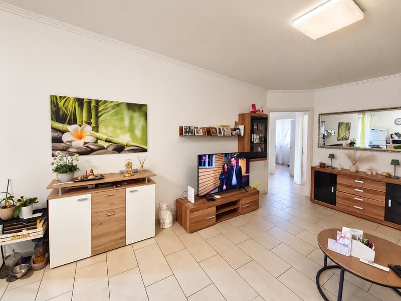 ACCOGLIENTE 4.5 LOCALI CON BALCONE E DOPPI SERVIZI A RIVERA (5)