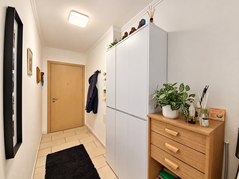 ACCOGLIENTE 4.5 LOCALI CON BALCONE E DOPPI SERVIZI A RIVERA (7)