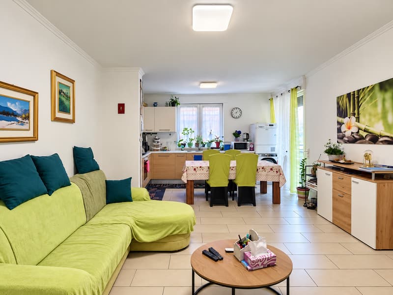 ACCOGLIENTE 4.5 LOCALI CON BALCONE E DOPPI SERVIZI A RIVERA (4)