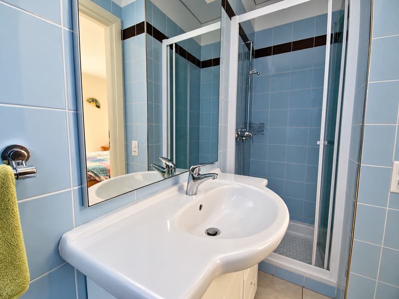 ACCOGLIENTE 4.5 LOCALI CON BALCONE E DOPPI SERVIZI A RIVERA (10)