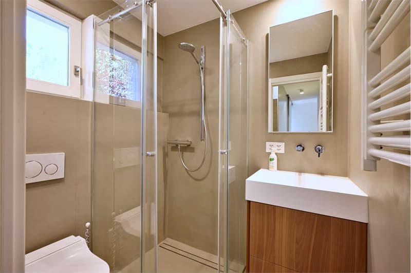 Elegance and modernity: Renovated semi-detached villa (13)