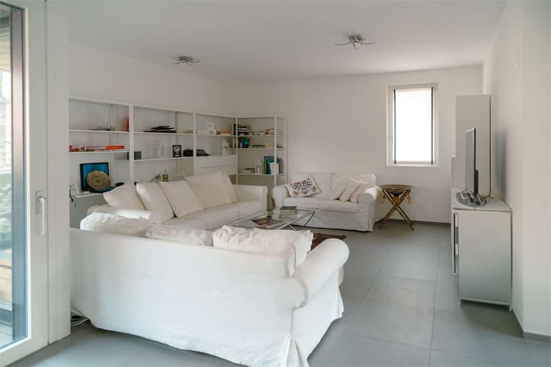 Elegant apartment near the center of Lugano (3)