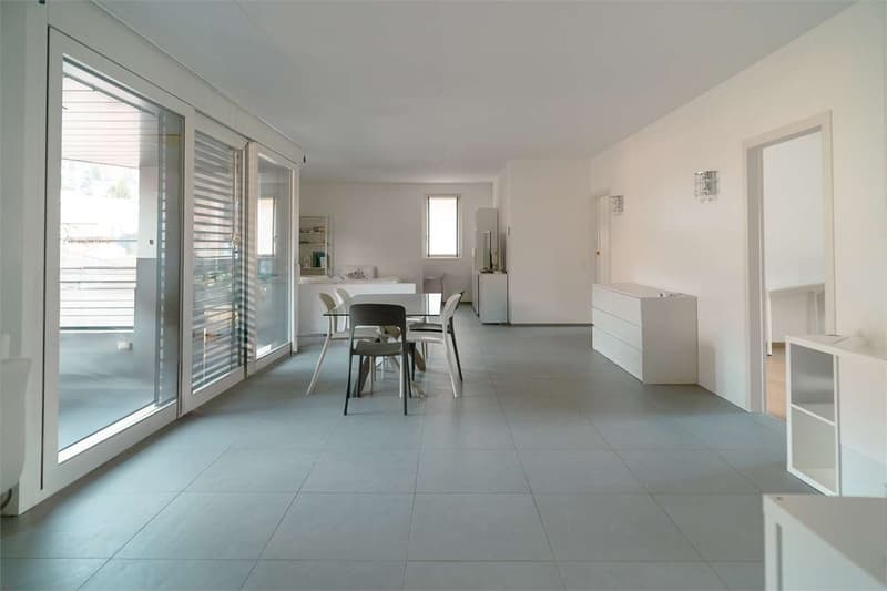 Elegant apartment near the center of Lugano (5)