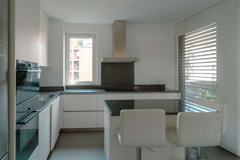 Elegant apartment near the center of Lugano (6)