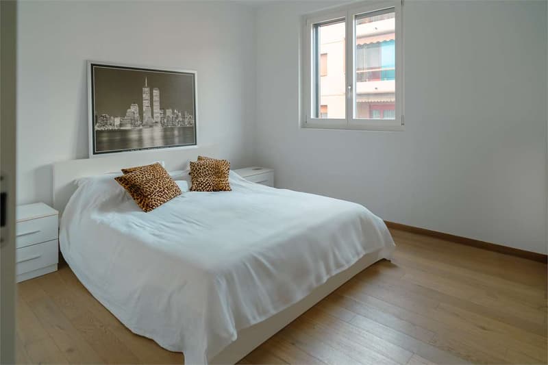 Elegant apartment near the center of Lugano (8)