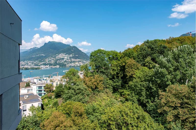 Sale of 3.5 rooms for rent in Pazzallo (11)