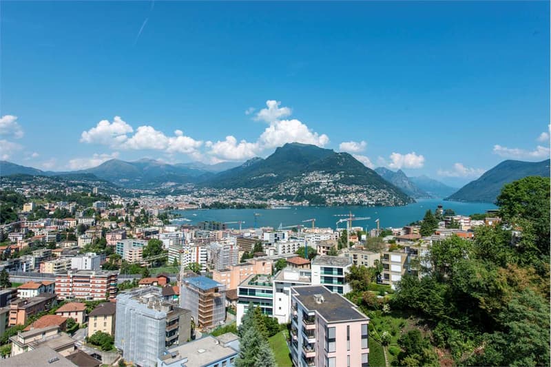 Sale of 3.5 rooms for rent in Pazzallo (12)