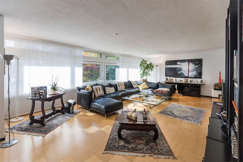 Appartement de 5,5 pièces avec jardin privé (2)