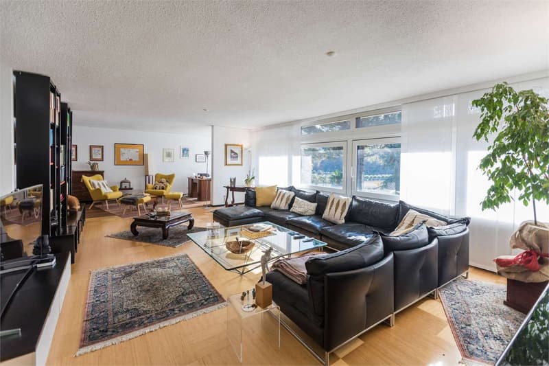 Appartement de 5,5 pièces avec jardin privé (4)