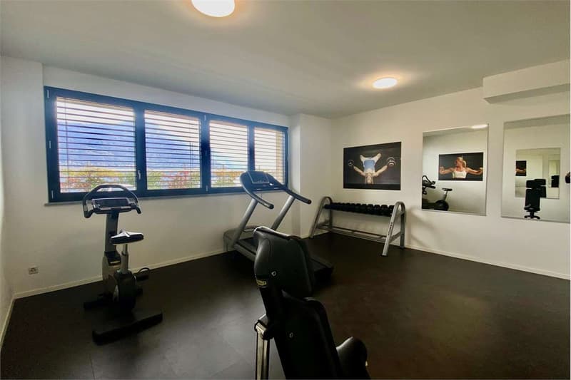 Exklusives Appartement mit atemberaubendem Blick auf den Lago Maggiore (10)
