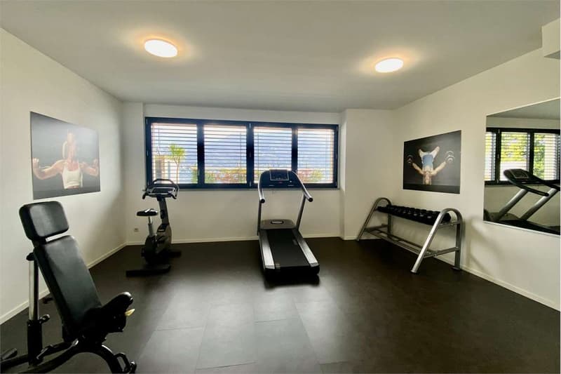 Exklusives Appartement mit atemberaubendem Blick auf den Lago Maggiore (9)