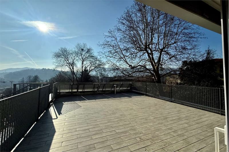 Studio apartment with large terrace (4)