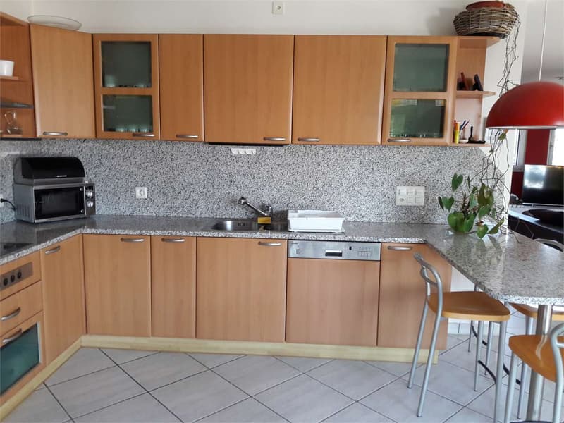 Comano - Grande et lumineuse maison unifamiliale (5 chambres) avec jardin (13)