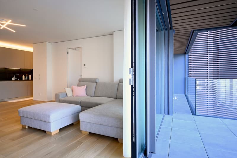 Modernes 3.5-Zimmer-Apartment mit großer Terrasse (17)