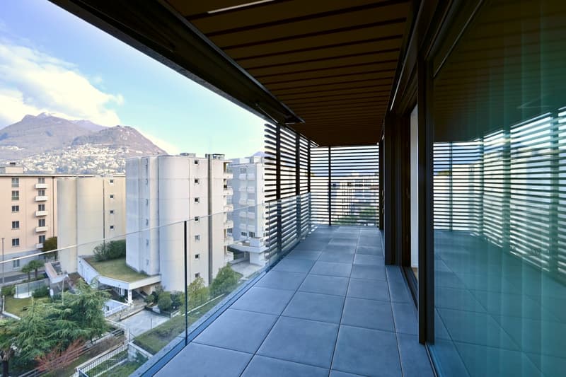 Modernes 3.5-Zimmer-Apartment mit großer Terrasse (19)