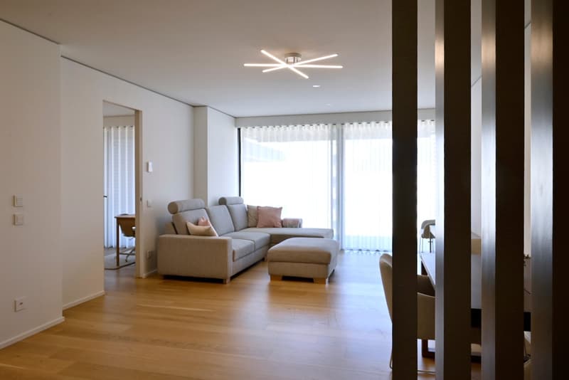 Modernes 3.5-Zimmer-Apartment mit großer Terrasse (5)