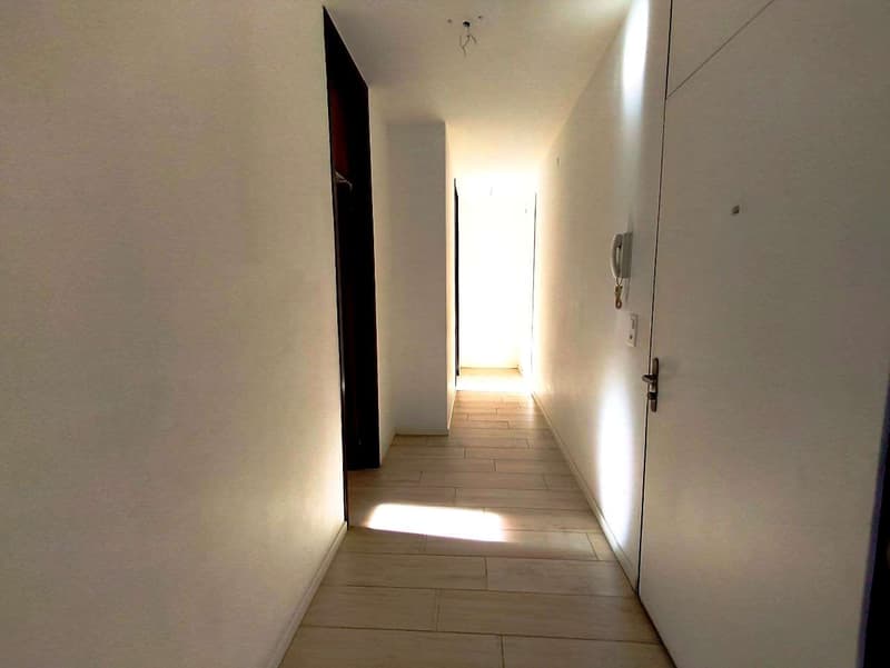 Lugano Cassarate - Splendido 4.5 Locali (Quadrilocale) in Zona Residen (2)