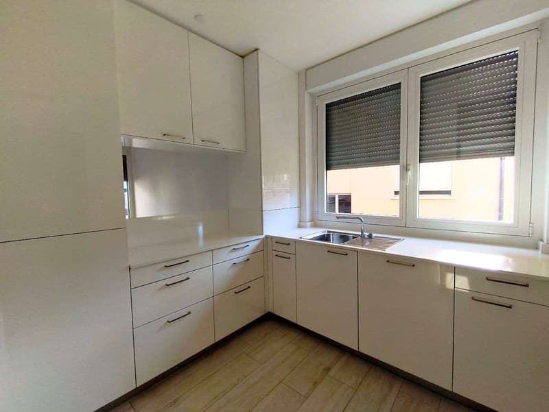 Lugano Cassarate - Splendido 4.5 Locali (Quadrilocale) in Zona Residen (3)