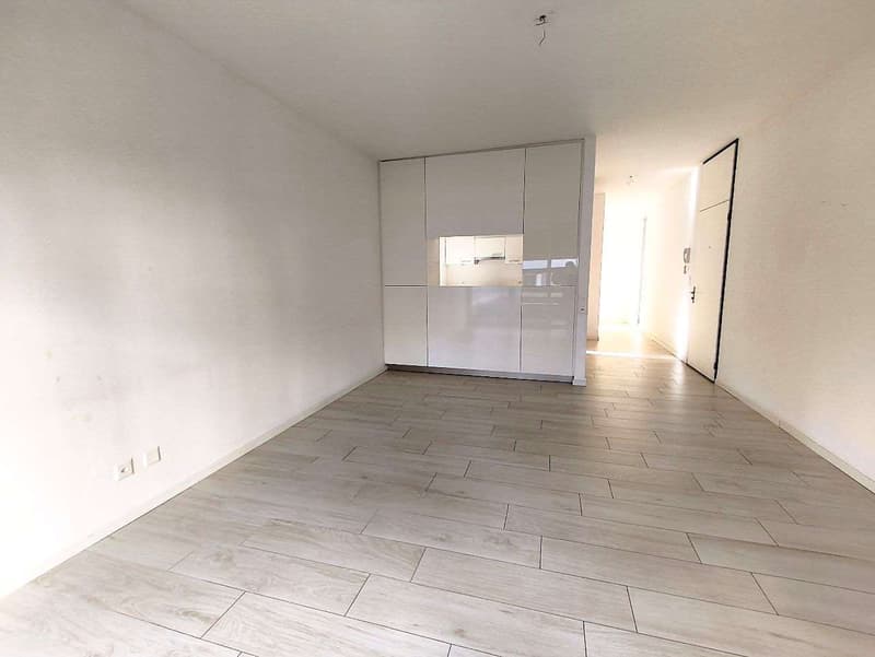 Lugano Cassarate - Splendido 4.5 Locali (Quadrilocale) in Zona Residen (1)
