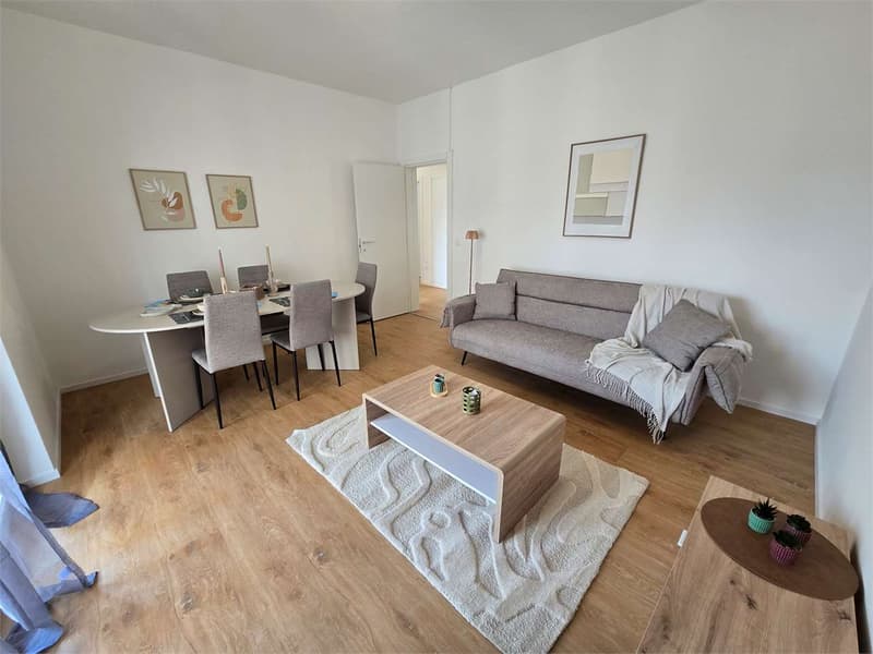 Chiasso - Prestigioso 4.5 Locali "Chiavi in Mano" - Arredato e Ristrut (1)