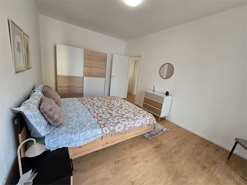 Chiasso - Prestigioso 4.5 Locali "Chiavi in Mano" - Arredato e Ristrut (2)
