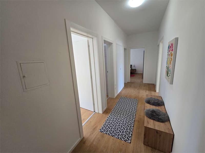Chiasso - Prestigioso 4.5 Locali "Chiavi in Mano" - Arredato e Ristrut (4)