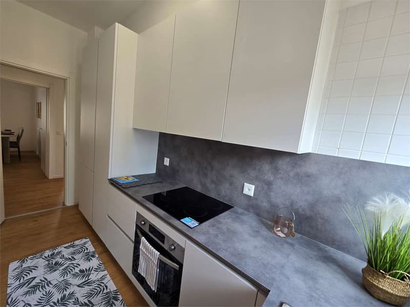 Chiasso - Prestigioso 4.5 Locali "Chiavi in Mano" - Arredato e Ristrut (5)