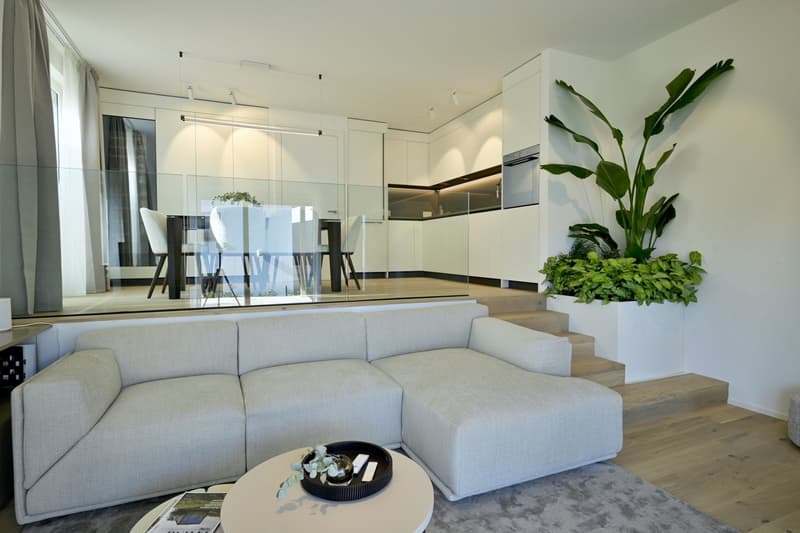 Villa moderne de nouvelle construction (2)