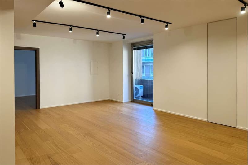 Elegantes 2.5-Zimmer-Wohnung, gerade renoviert (7)