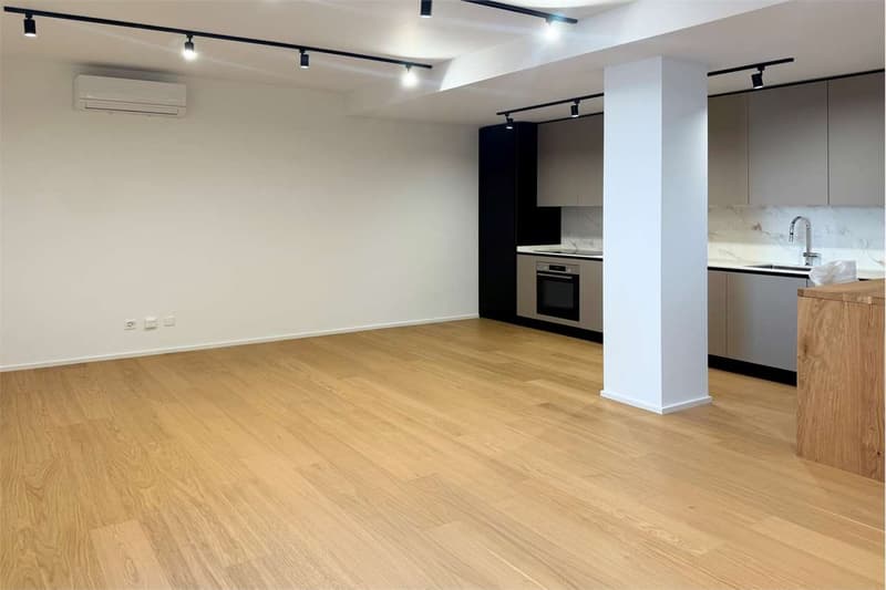 Elegantes 2.5-Zimmer-Wohnung, gerade renoviert (2)