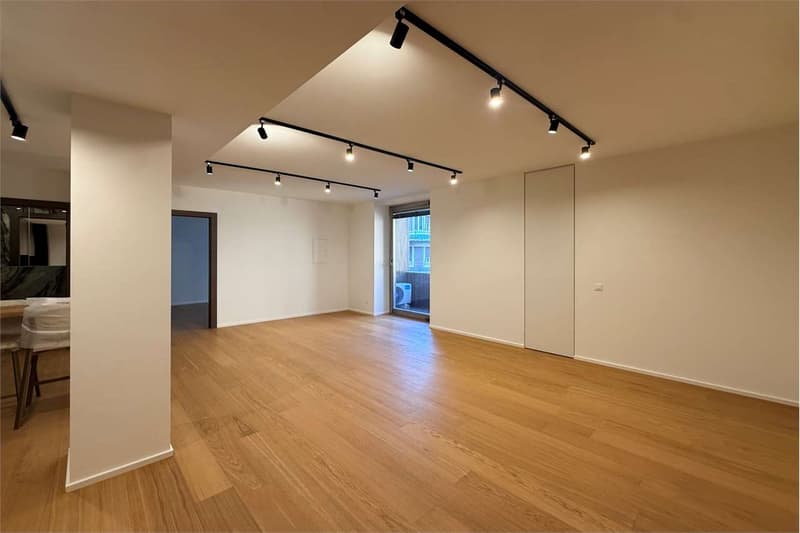 Elegantes 2.5-Zimmer-Wohnung, gerade renoviert (5)