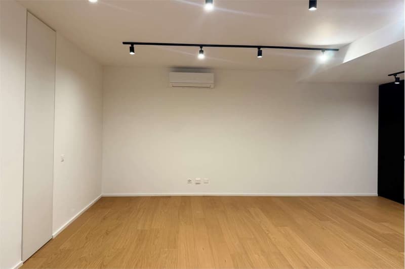 Elegantes 2.5-Zimmer-Wohnung, gerade renoviert (6)