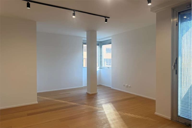 Elegantes 3.5-Zimmer-Wohnung, gerade renoviert (6)