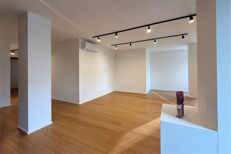 Elegantes 3.5-Zimmer-Wohnung, gerade renoviert (4)