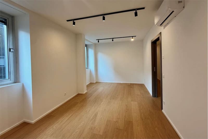 Elegantes 5.5-Zimmer-Wohnung mit großer Terrasse renoviert (13)