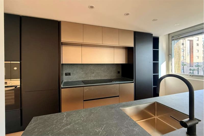 Elegantes 5.5-Zimmer-Wohnung mit großer Terrasse renoviert (4)