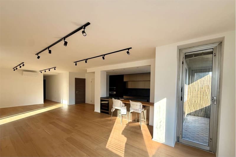 Elegantes 5.5-Zimmer-Wohnung mit großer Terrasse renoviert (3)