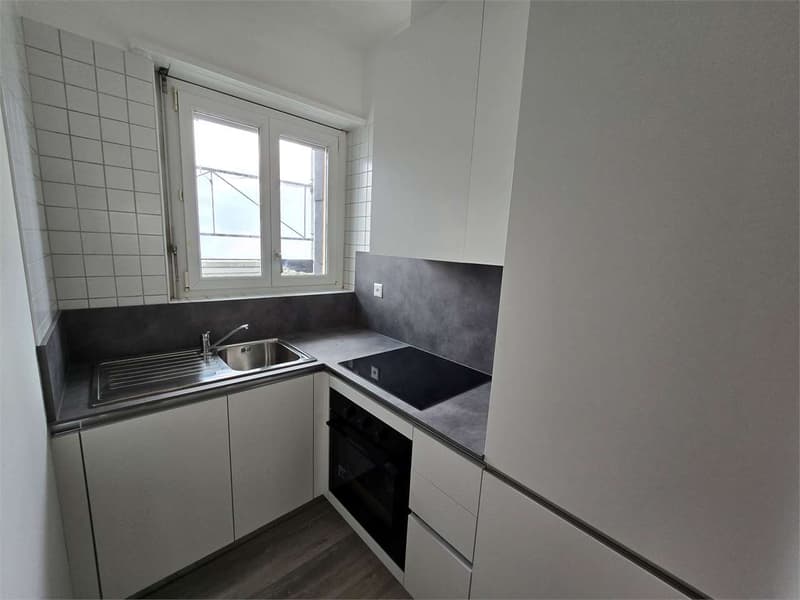 Chiasso - Grande 4.5 Locali Moderno in Stabile Totalmente Ristrutturat (2)