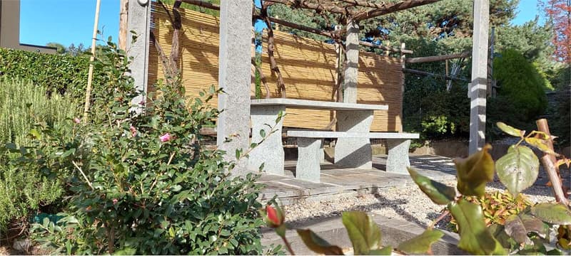 Comano - Splendido e Grande 5 Locali in Casa bifamiliare con Giardino (7)