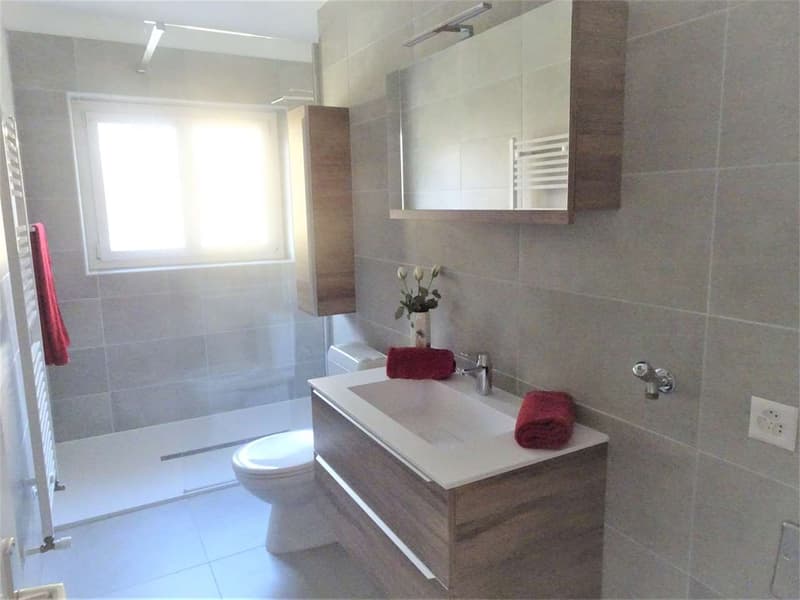 Comano - Splendido e Grande 5 Locali in Casa bifamiliare con Giardino (11)