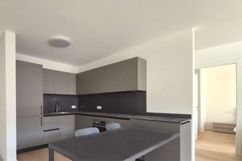 Chiasso 2.5 Locali Nuovi in Residenza di prestigio (2)
