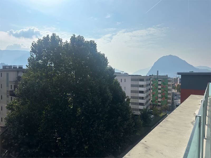 Esclusivo attico con terrazze a pochi passi dal centro (10)