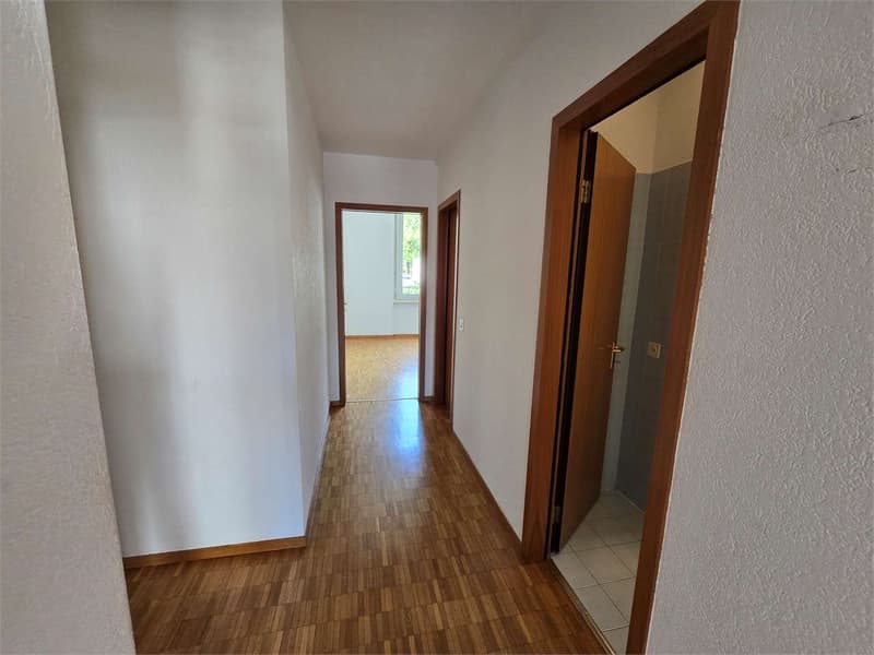 Chiasso (Via Puccini 2) - Ampio 3.5 Locali di 95 mq al PT con Grande B (9)