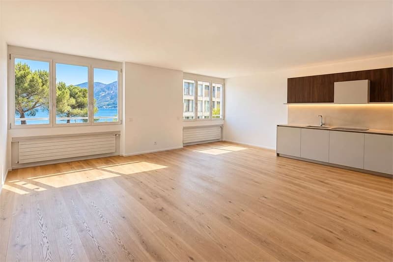 Luminoso appartamento di 2.5 locali con vista lago a Paradiso (1)
