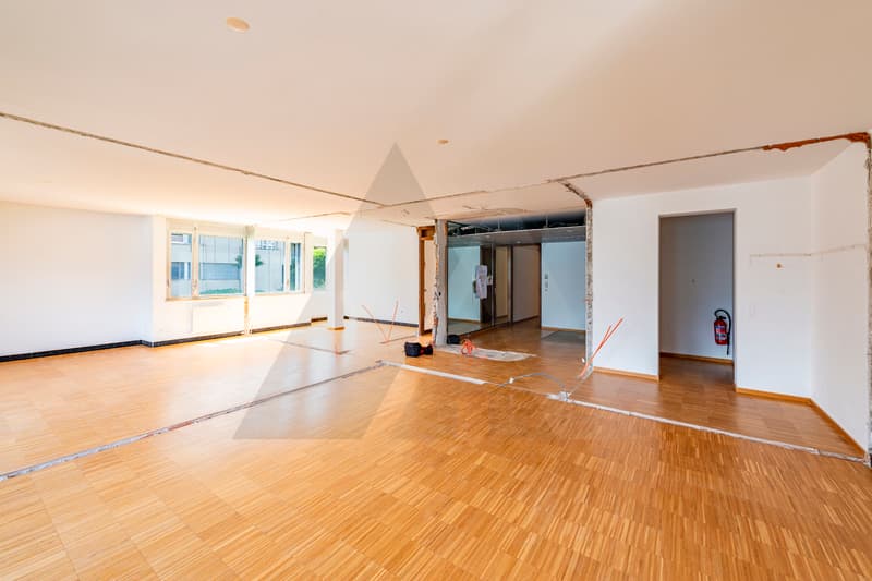 AMPIO APPARTAMENTO DA PERSONALIZZARE NELLA RESIDENZA CENTRAL PARK (10)