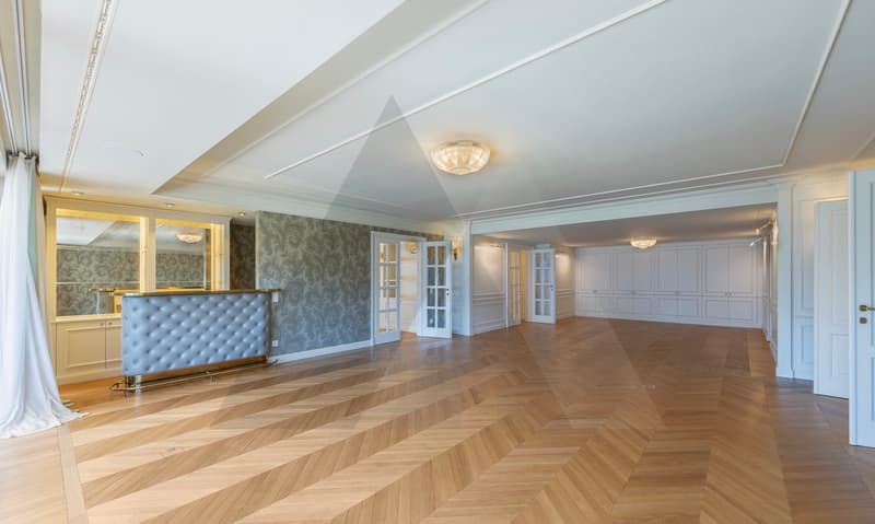 RESIDENZA FRONTE LAGO CON GIARDINO PRIVATO NEL CENTRO DI LUGANO (5)