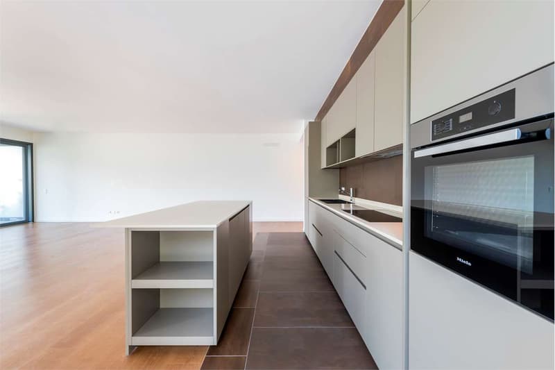 Bissone - Apartment with stunning lake view (5)