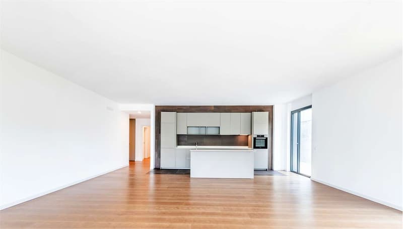 Bissone - Apartment with stunning lake view (9)